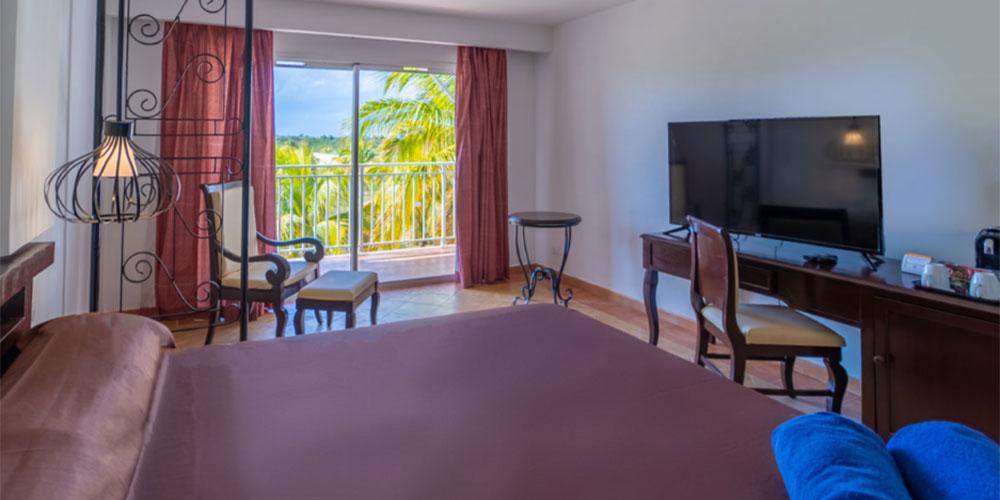 Standard Ocean View Musique