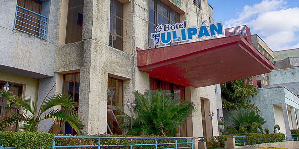 Hotel Tulipan