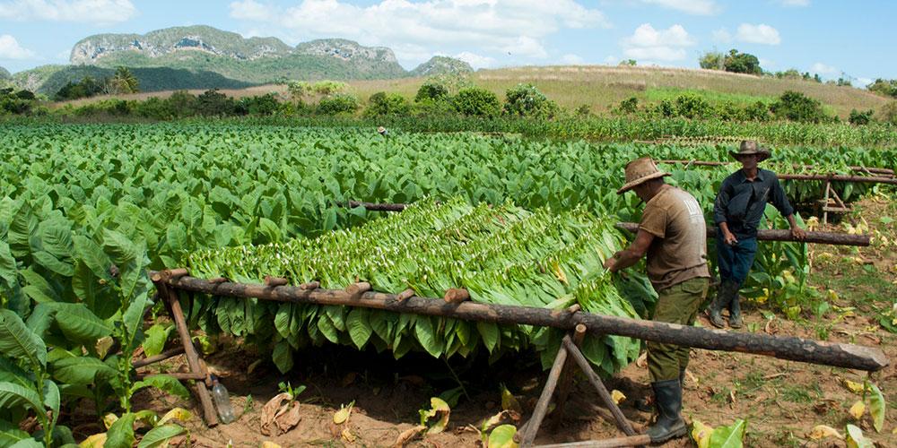 Valle de Vinales Privada