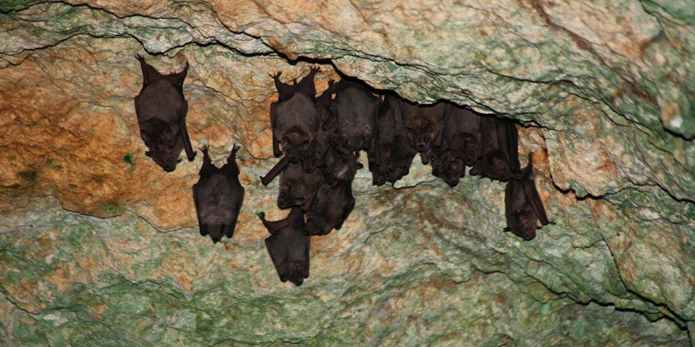 Sendero Enigma de las Rocas and snorkelingEnigma of the Rocks Trail and snorkeling