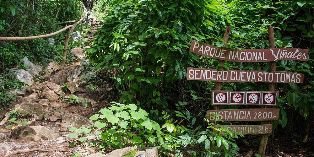 Visita a Cueva de Santo Tomas